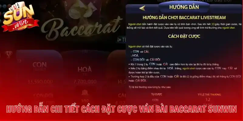 Hướng dẫn chi tiết cách đặt cược ván bài Baccarat Sunwin